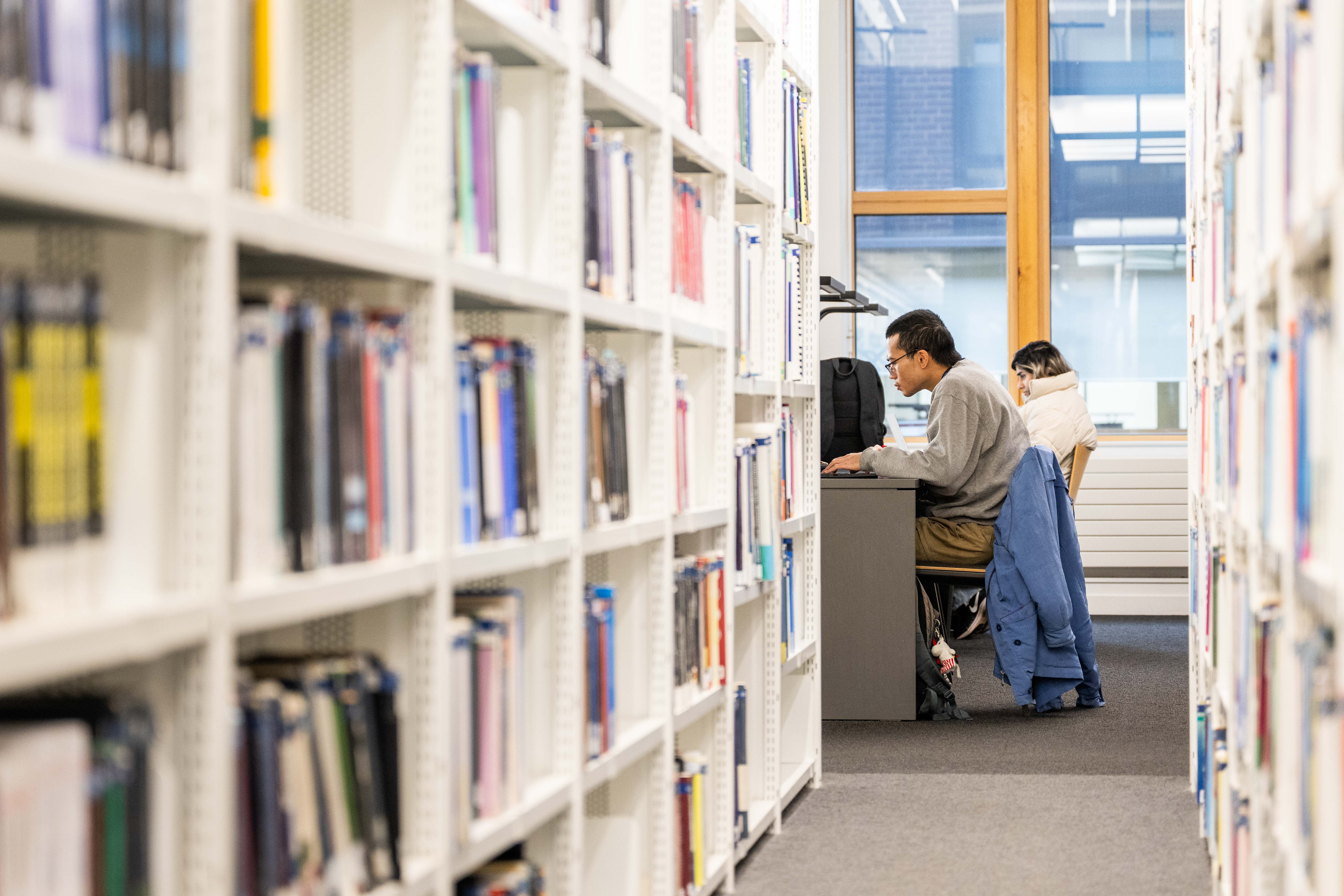 Researcher in the library