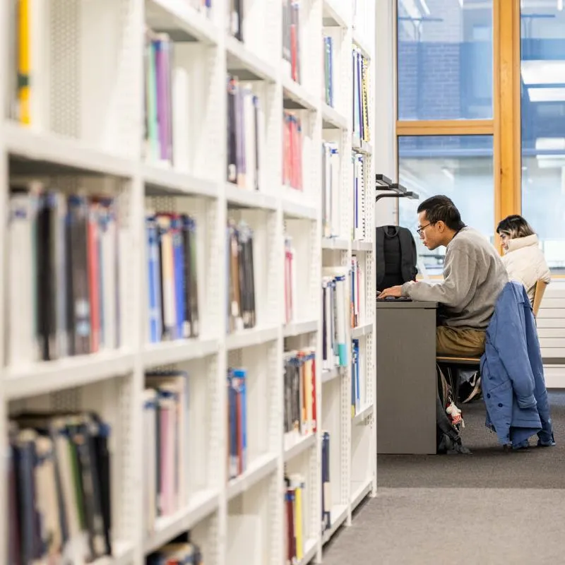 Researcher in the library
